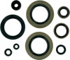 Oil Seal Kit - For 89-04 Kawasaki KX500