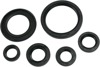 Oil Seal Kit - For 06-20 Yamaha YFM700R Raptor