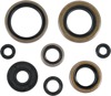 Oil Seal Kit - For 95-06 Kawasaki KDX200 97-05 KDX220R