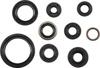 Oil Seal Kit - For 08-09 Kawasaki KLX450R