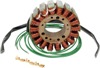 Ricks Motorsport Stator Oem Style Pwc