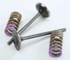 Steel Intake Valve & Spring Kit - For CRF250R 04-07 - CRF250X 04-16