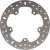 Rear Brake Rotor