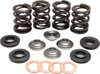 Racing Valve Spring Kit - For 00-06 KTM EXC MXC SX 400/520