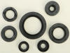 Oil Seal Kit