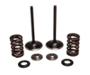 Intake Valve Spring Kit - For 04-05 Honda TRX450R