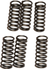 CSK Series Clutch Springs +15%