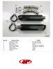Carbon Fiber Dual Slip On Exhaust - For 04-06 Yamaha R1