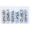 BOLT M6 10mm Hex Flange Bolt Assortment - 80 Piece - 80-piece M6 10mm hex flange bolt kit