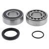 All Balls Racing Drive Jackshaft Bearing Seal