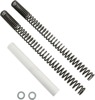 Fork Spring Kit