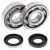 All Balls Racing Engine Bearing Kit - Husqvarna