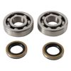 Hot Rods Bearing/Seal Kit Kx125 80-81