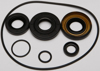 Differential Seal Kit