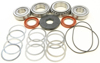 Differential Bearing & Seal Kit