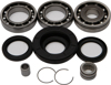 Rear Differential Bearing & Seal Kit