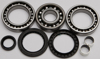 Rear Differential Bearing & Seal Kit