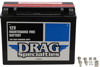 YTX AGM Maintenance Free Battery 350CCA 12V 21Ah - Replaces YTX24HLBS