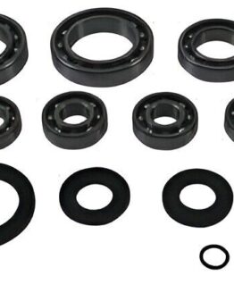 QuadBoss Transaxle Bearing Kit 401295