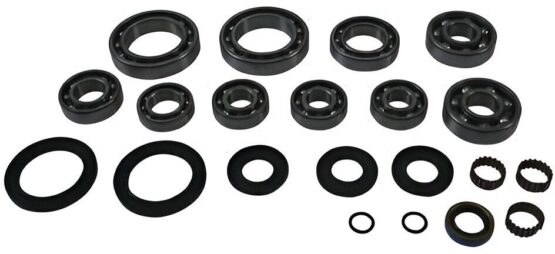 QuadBoss Transaxle Bearing Kit 401295