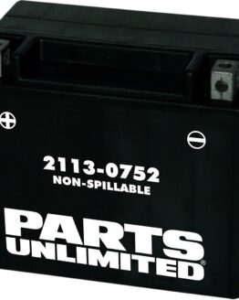 Factory-Activated AGM Maintenance-Free Battery