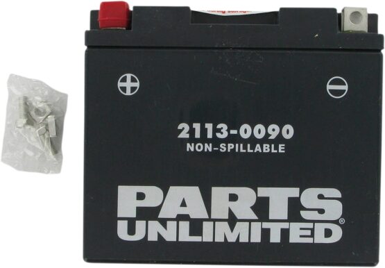 AGM Maintenance Free Battery 215CCA 12V 10Ah Factory Activated - Image 2