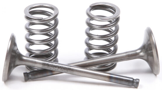 Steel Exhaust Valve/Spring Kit