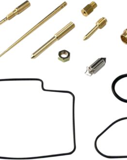 Carburetor Repair Kit