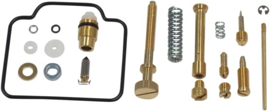 Carburetor Repair Kit