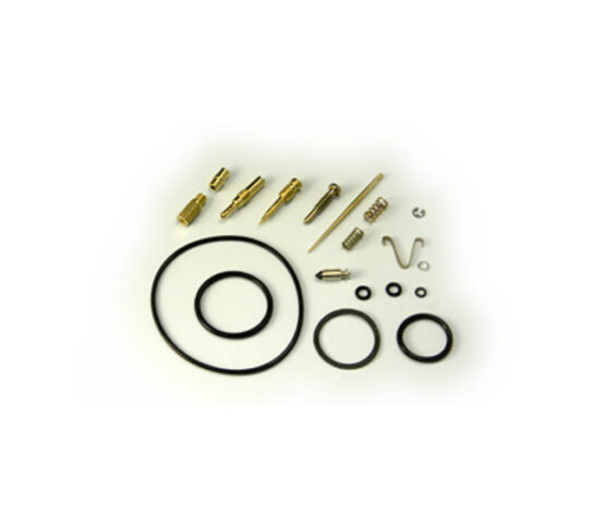 Carburetor Repair Kit