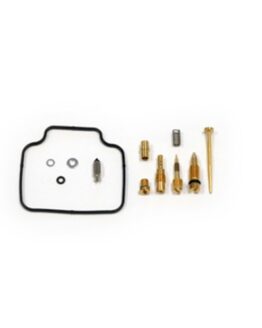 Carburetor Repair Kit