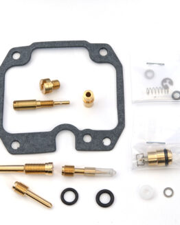 Carburetor Repair Kit