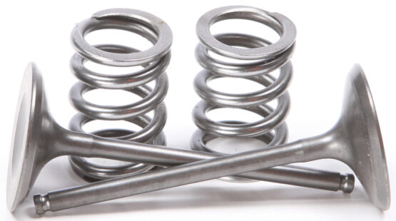 Steel Intake Valve/Spring Kit