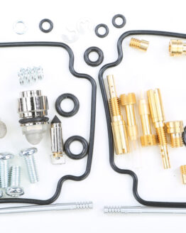 Carburetor Repair Kit