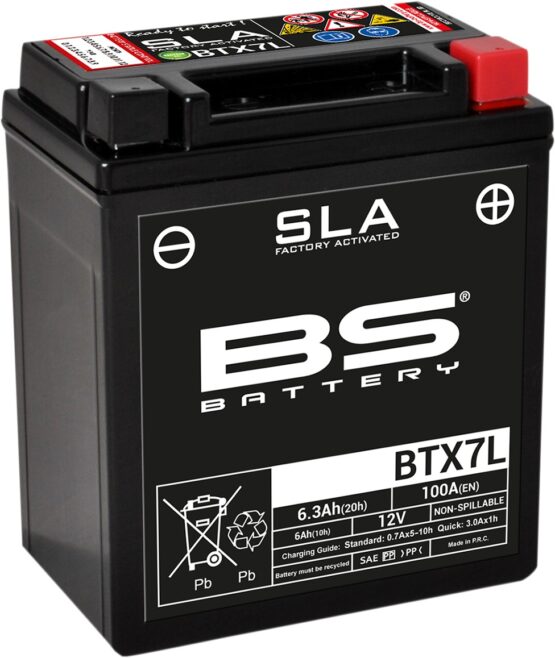 AGM Maintenance Free Battery 100CCA 12V 6.3Ah Factory Activated
