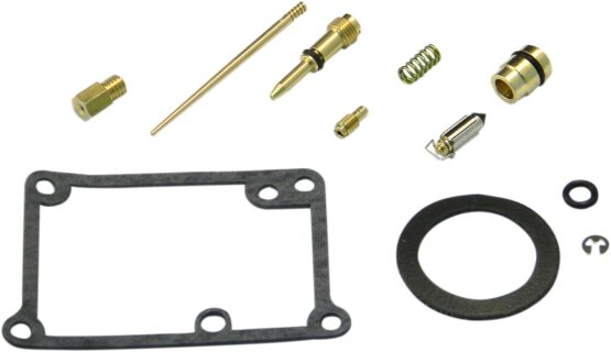 Carburetor Repair Kit