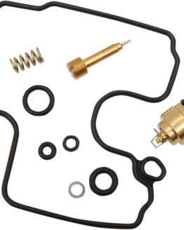 Carburetor Repair Kit