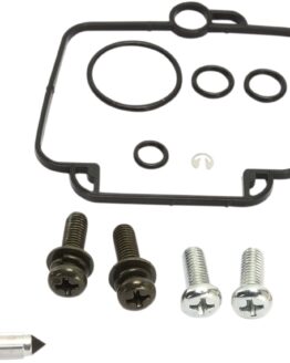 Carburetor Repair Kit