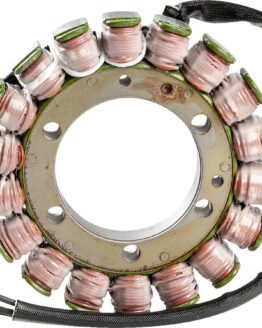 Rick's Motorsport Electrics Stator For Honda FSC600 Silver Wing