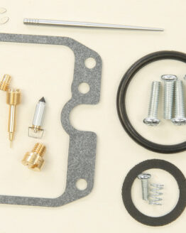 Carburetor Repair Kit