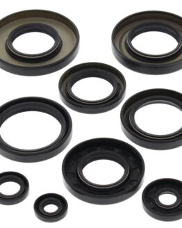 Vertex Engine Oil Seal Kit 822247