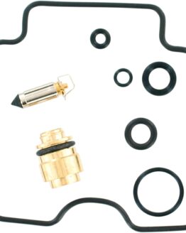 Carburetor Repair Kit