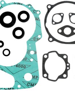 Complete Gasket Kit w/Oil Seals