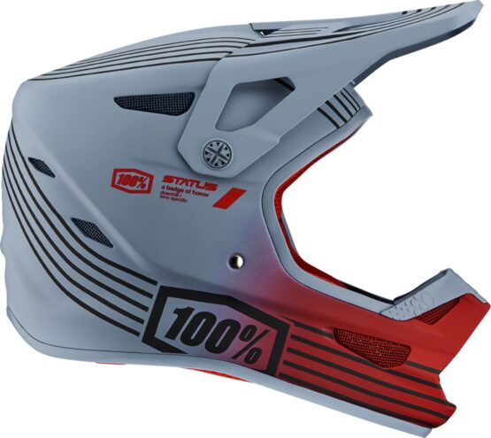 100% Status Bicycle Helmet Full Face Red Caltec Gray Large