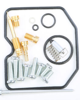 Carburetor Repair Kit