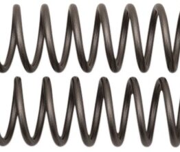 Fork Springs