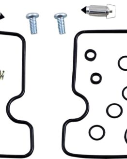 Carburetor Repair Kit