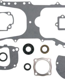 Complete Gasket Kit w/Oil Seals