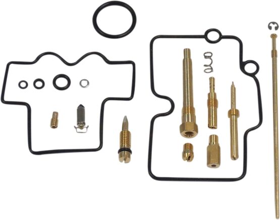 Carburetor Repair Kit