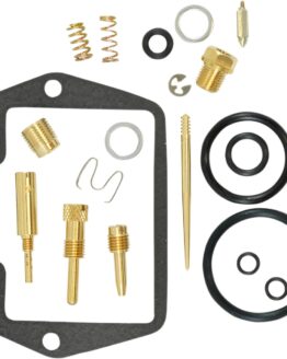 Carburetor Repair Kit